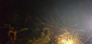 IMG-20230527-WA0018