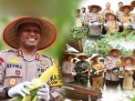 Panen Program Ketahanan Pangan, Kapolres Petik Jagung dan Tangkap Ikan Hasil Budidaya