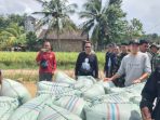 Perum Bulog Sumsel Babel Pastikan Serap Gabah Petani di OKU Timur