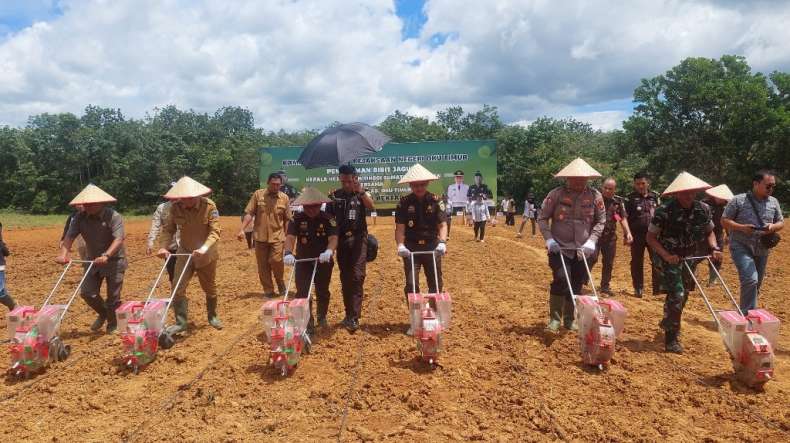 Dukung Swasembada Pangan, Kajati Sumsel Tanam Jagung di OKU Timur