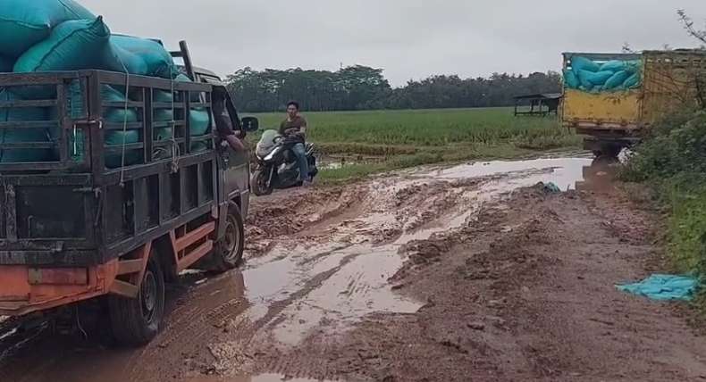 Jalan Rusak Parah di OKU Timur, Jeritan Warga Seberang Komering Viral di Media Sosial