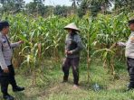 Polsek BP Peliung Aktif Dukung Program Ketahanan Pangan Nasional