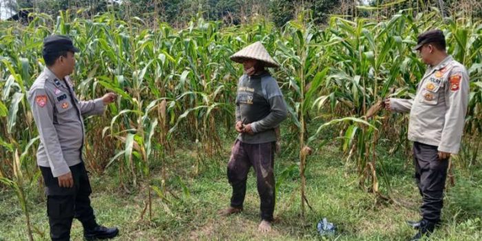 Polsek BP Peliung Aktif Dukung Program Ketahanan Pangan Nasional
