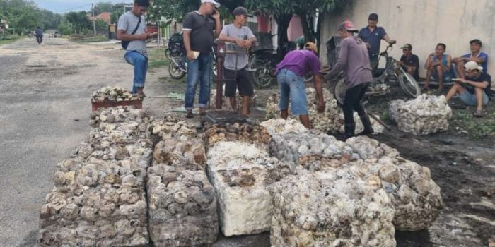 Harga Karet Stabil, Petani Berharap Pemerintah Tetapkan Harga Minimum