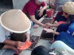 Sukses Kelola Pembibitan Cabai, KWT Mekar Arum Untung Jutaan
