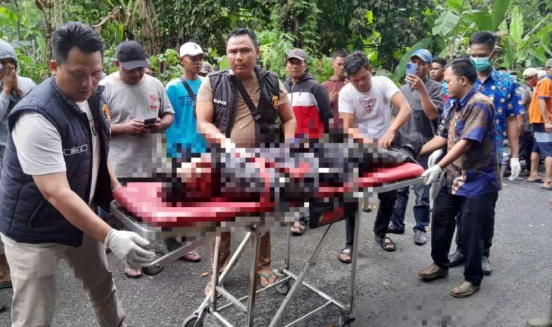 Tragis! Pemuda Tewas Tertimpa Pohon Tumbang di Jalan Lintas Komering