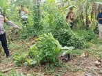 Penemuan Kerangka Manusia di Kota Way Gemparkan Warga