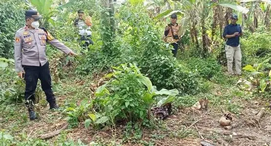Penemuan Kerangka Manusia di Kota Way Gemparkan Warga