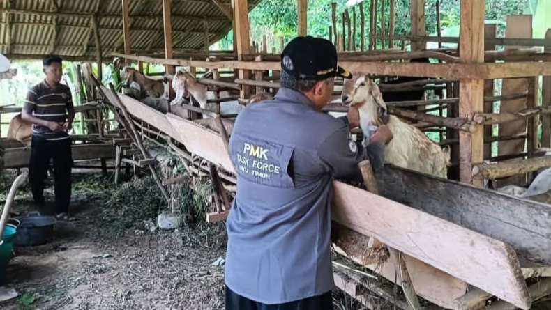 IMG-20251104-WA0012 Diskanak OKU Timur Perkuat Ketahanan Hewan Ternak Lewat Pemberian Vitamin