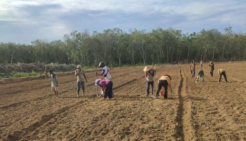 Program CSR di OKU Timur Capai 6.154 Hektare, Ditarget Selesai Desember