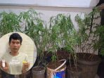 Petani Asal Empat Lawang Dibekuk, Edarkan Sabu dan Tanam Ganja Dalam Rumah