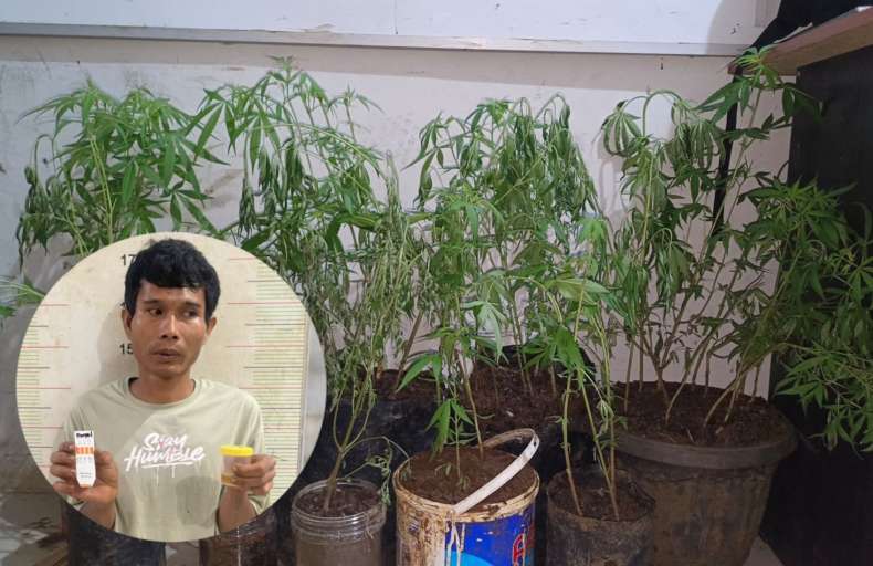 Petani Asal Empat Lawang Dibekuk, Edarkan Sabu dan Tanam Ganja Dalam Rumah