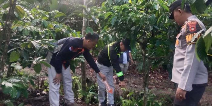 Pengeroyokan Maut di OKU Selatan, Pria Diduga Pencuri Kopi Tewas Diamuk Massa