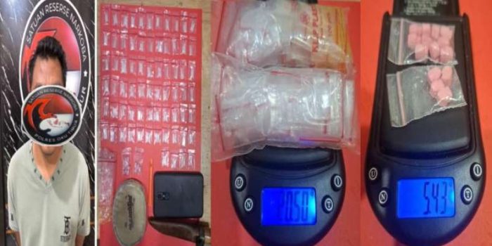 Bandar Narkoba di Madang Suku II OKU Timur Dibekuk, Polisi Amankan 70 Paket Sabu dan 14 Butir Ekstasi